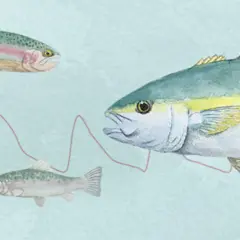 En vattuman och fisk simmar i en akvarellstil. En stor fisk med gul rand följer en mindre fisk, medan en regnbåge simmar ovanför.