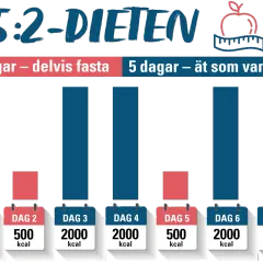 Grafisk illustration av 5:2-dieten med staplar som visar kaloriintag per dag. Två dagar med lågt intag (500 kcal), fem dagar med normalt intag (2000 kcal).