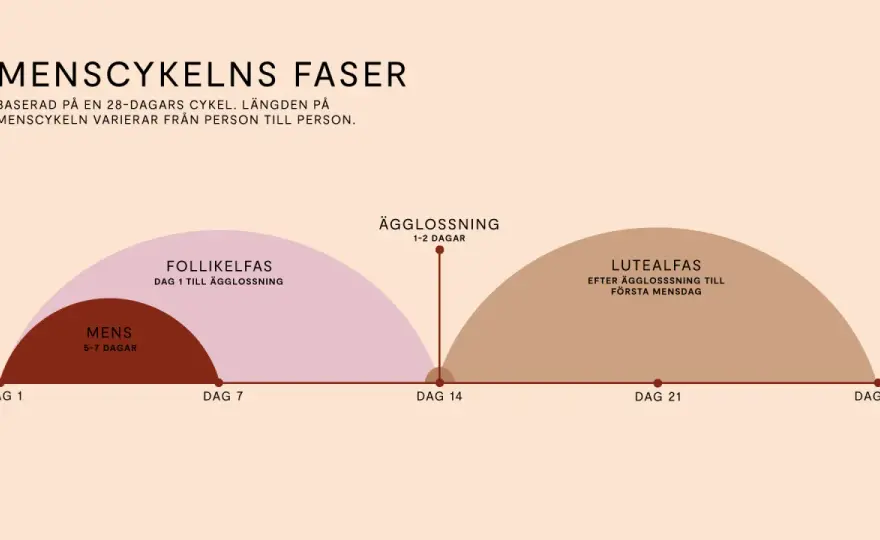 Mående i lutealfasen - Skillnad på PMS, PMDS och tips som hjälper