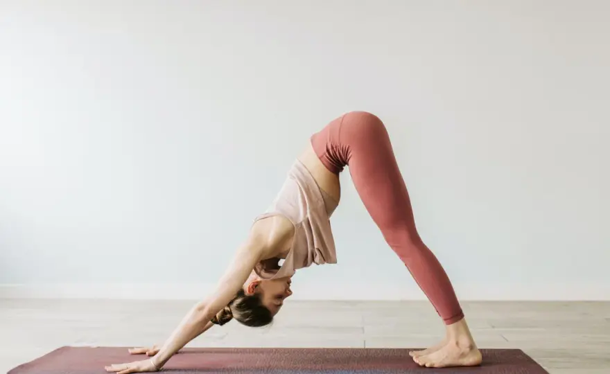 Hunden yoga - Gör du rätt? Guide till teknik och vanliga fel