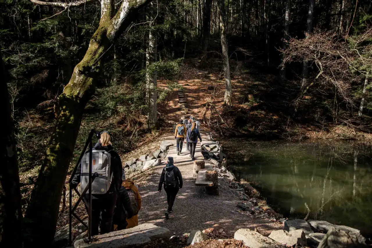 Vandring genom skogen till ett yogaretreat i Sverige. En grupp m&auml;nniskor g&aring;r l&auml;ngs en stig vid en sj&ouml;.